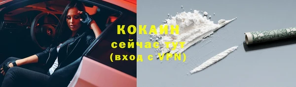 ПСИЛОЦИБИНОВЫЕ ГРИБЫ Приозерск