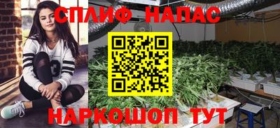 эйфоретик Краснодар