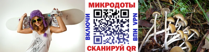 Псилоцибиновые грибы мицелий Гусь-Хрустальный